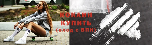 дурь Пестово