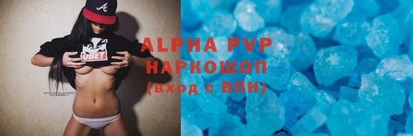 винт Пересвет
