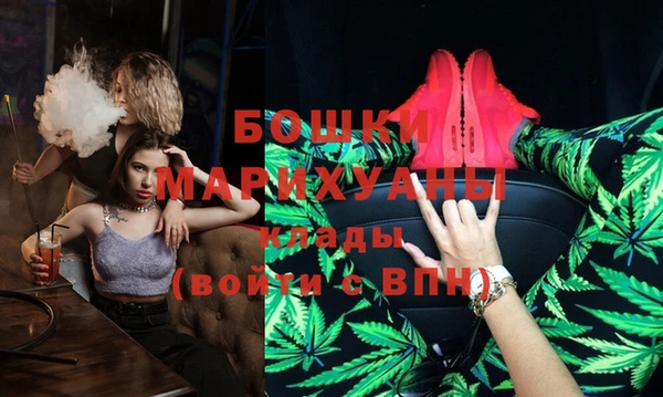 винт Пересвет