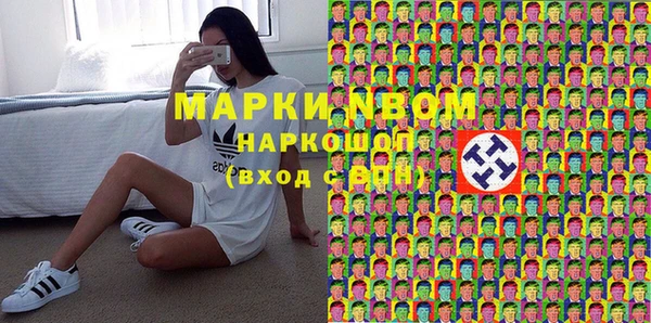 дурь Пестово