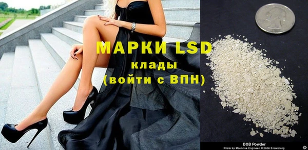 винт Пересвет