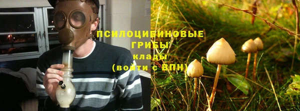дурь Пестово