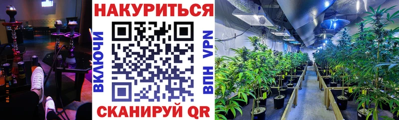 Купить где  Катав-Ивановск  МАРИХУАНА THC 21% 